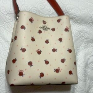 Ladybug coach pocketbook LAST CHANCE ENDS SUNDAY